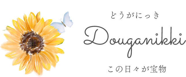 どうがにっき